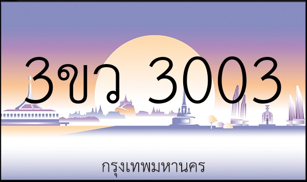 3ขว 3003
